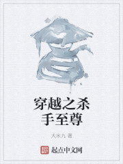 穿越之杀手至尊