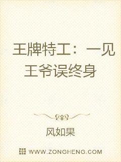 王牌特工：一见王爷误终身