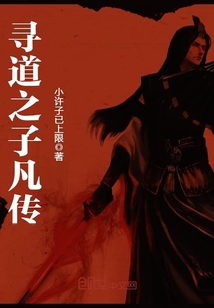 寻道之子凡传