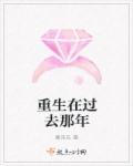 重生在过去那年