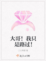 大哥！我只是路过！