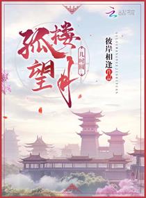 孤楼望月几时圆