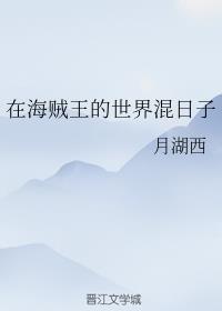 在海贼王的世界混日子