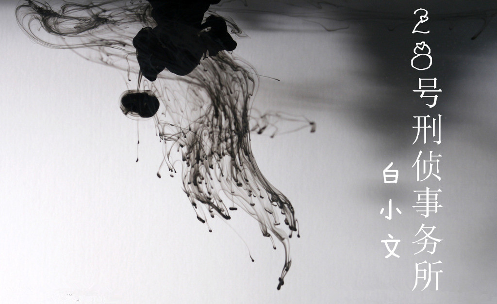 28号刑侦事务所
