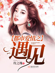 都市爱情之遇见