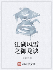 江湖风雪之御龙诀