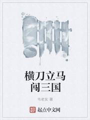 横刀立马闯三国